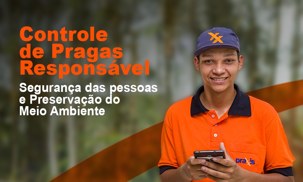 Saiba como prevenir sua empresa da época mais propícia para o surgimento de pragas