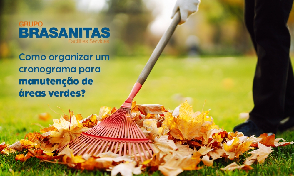 Como montar um cronograma para manutenção de áreas verdes no outono?