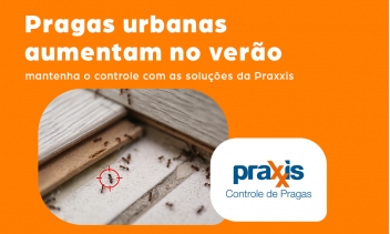 Calendário de Controle de Pragas: Verão - Estação aumenta incidência e proliferação de pragas urbanas. 